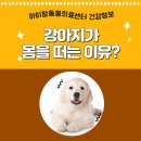 아이맘동물의료센터 이미지