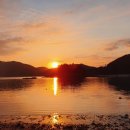 금광수산 이미지