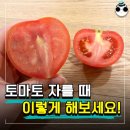 토마토 제대로 자르는 법 이미지