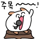 청년피자경북울진점 이미지