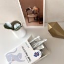 메타플렉스 | 고양이유산균 추천 기호성까지 잡은 장영양제 차오르 메타바이오틱스 플렉스