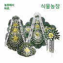 여수강남요양병원 쇼핑하우