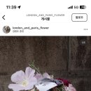 런던앤패리스 이미지