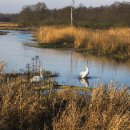 일상의집 이미지