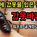 포항곤충농장 이미지