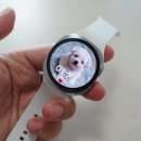 스마트실버 | 갤럭시 스마트워치8 40mm 실버 후기 스트랩 여성 손목 사용후기