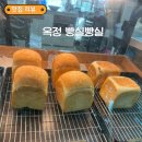 옥정빵집 추천! 가성비 좋은 빵 맛집 빵실빵실 방문 후기