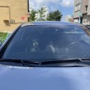 오구오구 펫살롱 이미지