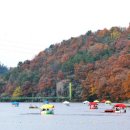 아라힐링카페 이미지