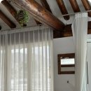 현대애견 이미지