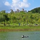 북서울꿈의숲 이미지