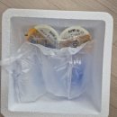 31140-9-26-1 | 시판 이유식 체험팩 9곳 총정리 비교 리스트 후기 논란(26년 최신)