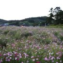 고인돌안내소 이미지