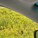 대승목장 이미지