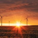 덕이축산2호 태양광발전소 | [우즈베키스탄] 대전환 총정리 — 타슈켄트 서울 모델·스타트업 세계 4위·이노프롬 대규모 협력·암호...