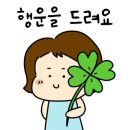 남애리458스테이 이미지