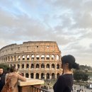 비둘기한국@ | 🇮🇹 로마 비둘기똥 주의보🤌