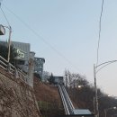 SO카써비스 | [남산]더 플레이스 다이닝에서 생일 저녁식사 🍰현대M포인트 50% 할인 받아서 먹은 후기