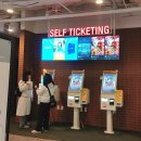 신촌여인숙 | 초콜릿에 취해봐 티모시 샬라메 웡카 (CGV 연남 4DX 후기)