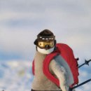 외출준비 이미지