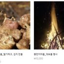 퀸스 휘트니스 이미지