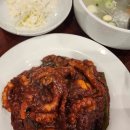 가성수족관 이미지