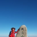 표충로 Daum카페