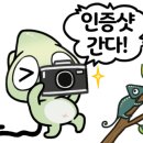 한밭 동물병원 이미지