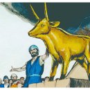 금송아지 이미지