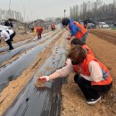 서창2동-28 이미지