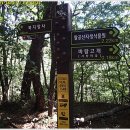 바람고개길 이미지