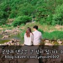 호산약국 네이버블로그