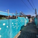 대능4리 이미지