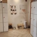 고양이별 캣 카페 이미지