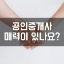 대신공인중개사사무소 이미지