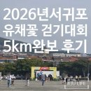 숨골 | 주말 기록- 2026 서귀포 유채꽃 걷기대회 5km 완보 : 상전 두 분 모시고 다녀온 후기😂