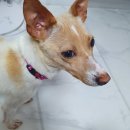 새무지개약국 이미지