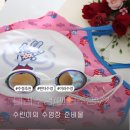 팬더호텔 | 수린이 수영장 준비물 미러수경 팬더수경V2 후기