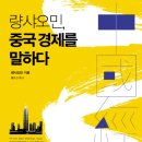 량사오민,중국경제를 말하다 (은행나무) 15권 이미지