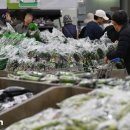 (주)농협하나로유통 하나로마트 이미지