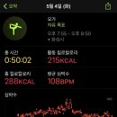 요가(오후) 이미지