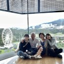 드영미술관 이미지