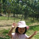 샬롬세탁 이미지