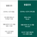 초록아침건강녹즙