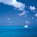 추억이 있는 바다 이미지