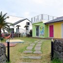 제주 개구리펜션 가족독채펜션 이미지