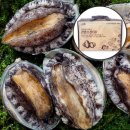 전복사랑 이미지