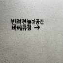 강릉멍릉도원애견펜션 이미지