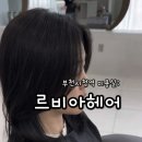 씨티무브스 | 부천시청역 미용실 르비아헤어에서 새치염색+헤드스파 받고 힐링한 후기 ✨ by 선경대표원장님