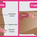 알파동물병원 이미지